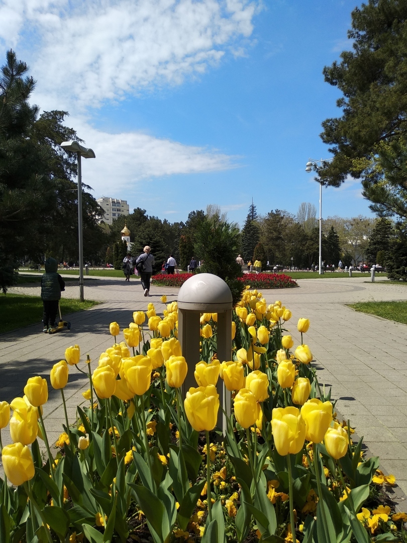 Тюльпановая Анапа 2024. Весна началась с лета, тепло за +20 🌷🌷🌷