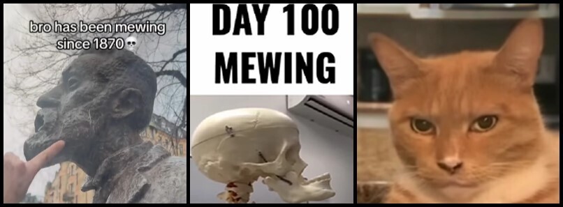 Почему в TikTok все молчат, или что такое MEWING?🤫🧏🗿