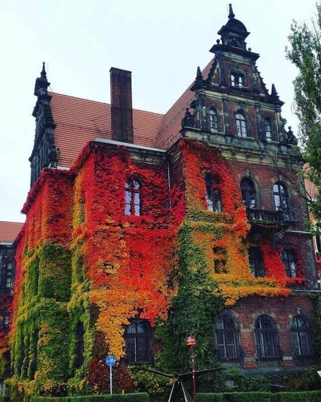 Архитектура в сочетании с природой.