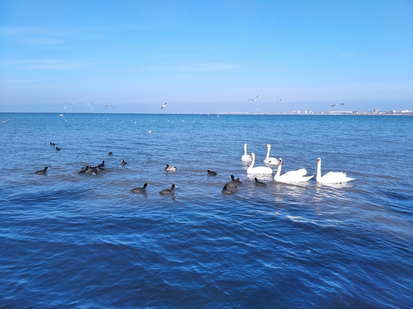 Тюльпановая Анапа 2024. Весна началась с лета, тепло за +20 🌷🌷🌷