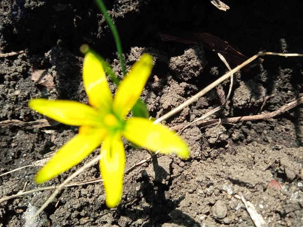 Как я провела первые апрельские выходные: чем занималась дома и на даче. Мои фотографии