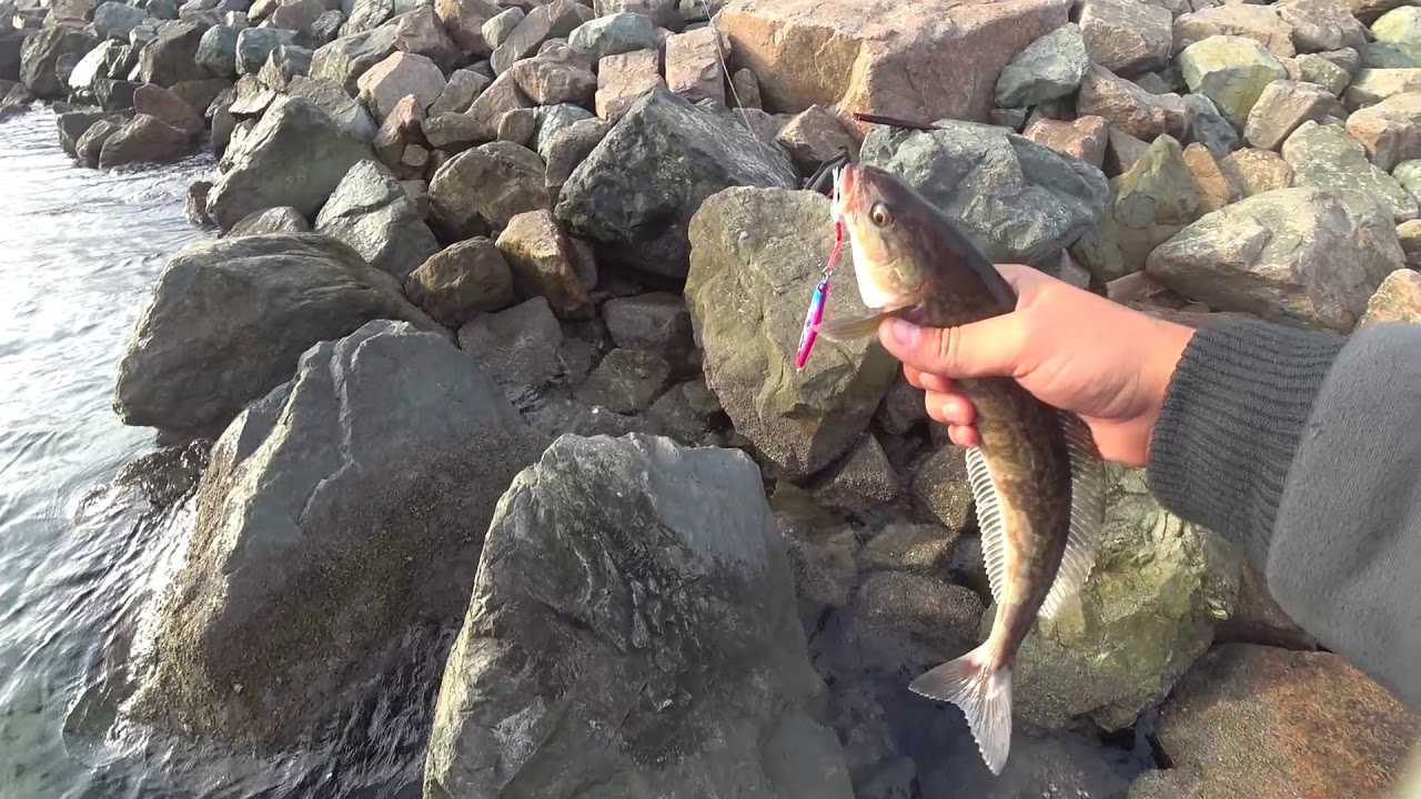 Русский-история с географией.