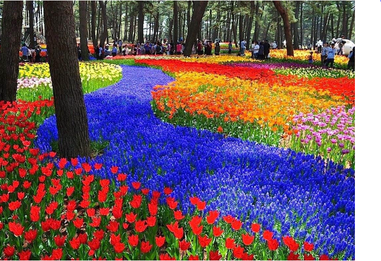 Открывая Чудеса Природы: Исследование Национального Приморского Парка Хитачи.