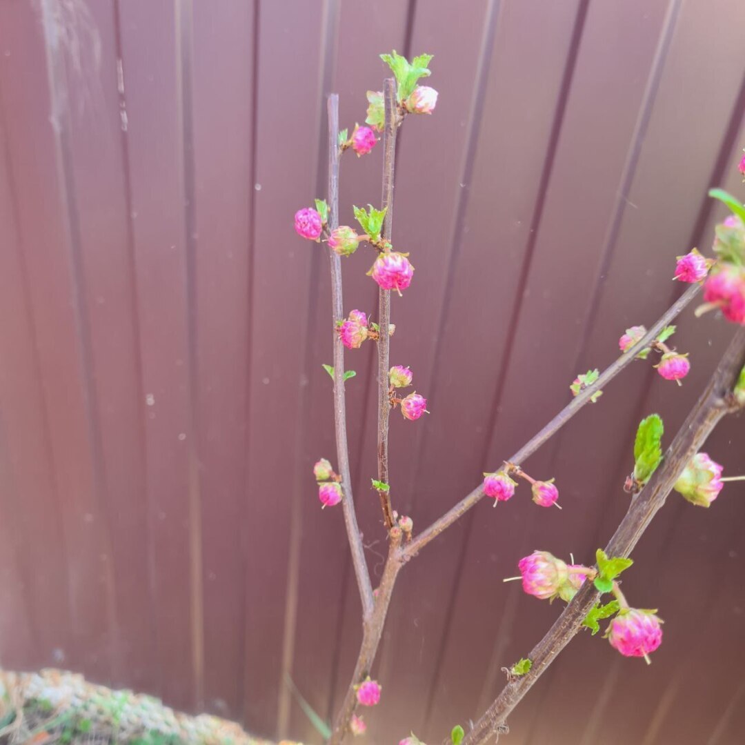 Что купили на Валдбериз сегодня и в новом торговом центре в Ейске