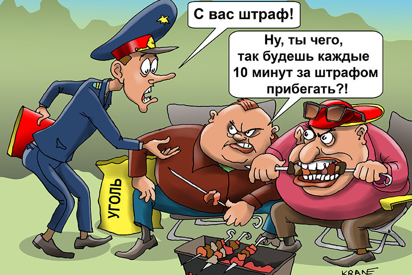 «Займу мангал, беседку, место для шашлыков» – пик популярности весенне-летнего заработка. Как не получить штраф, отдыхая на природе?