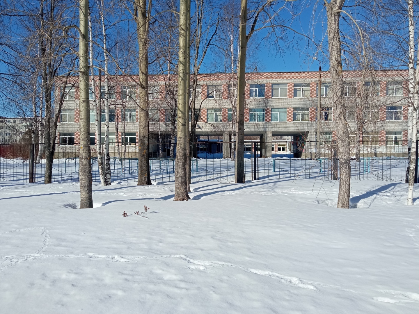 Продолжение моей автобиографической повести – 5