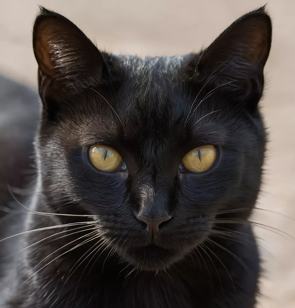 "Суеверия: Мифы и Реальность - Что Скрыто за Верованиями?"