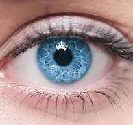 " Мистическая Сила и Её Влияние на Человека и Общество"