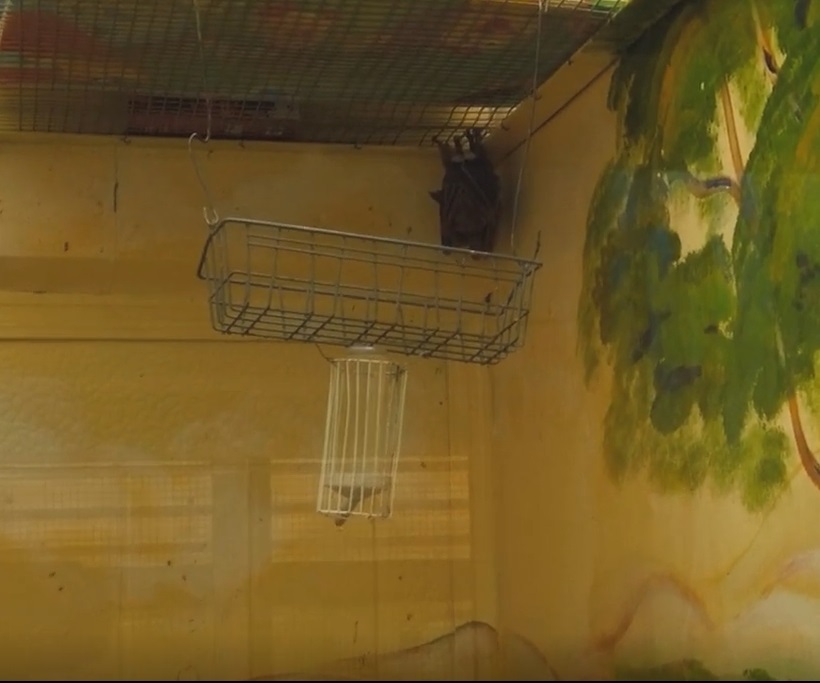 Зоопарк в Омске. 12 лет "на том же месте"!!!