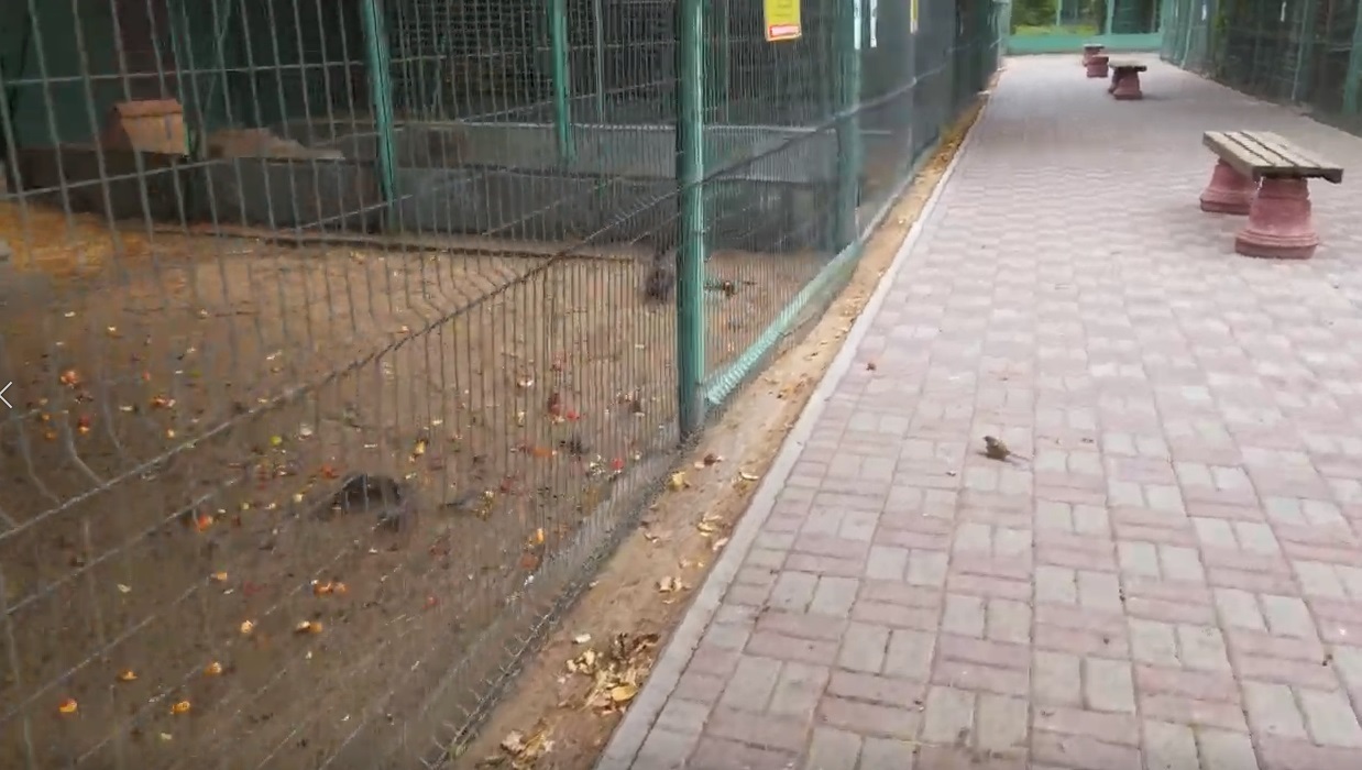 Зоопарк в Омске. 12 лет "на том же месте"!!!