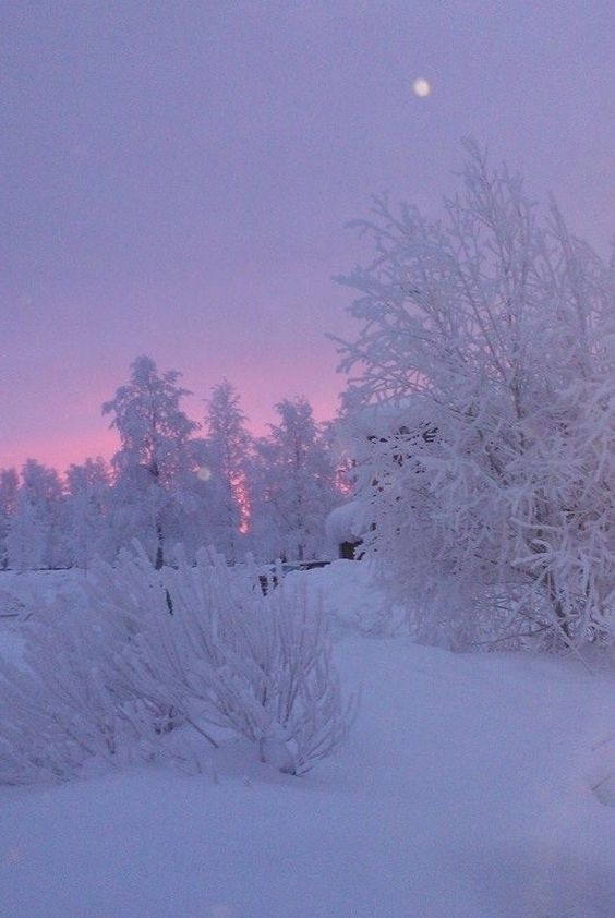 Зим 1000. Зима Виджет. Зима уют атмосфера. Февраль фон ветка снег. Snow aesthetic.