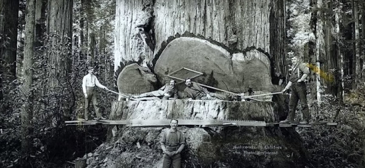 Наука не верит в существование гигинтов.