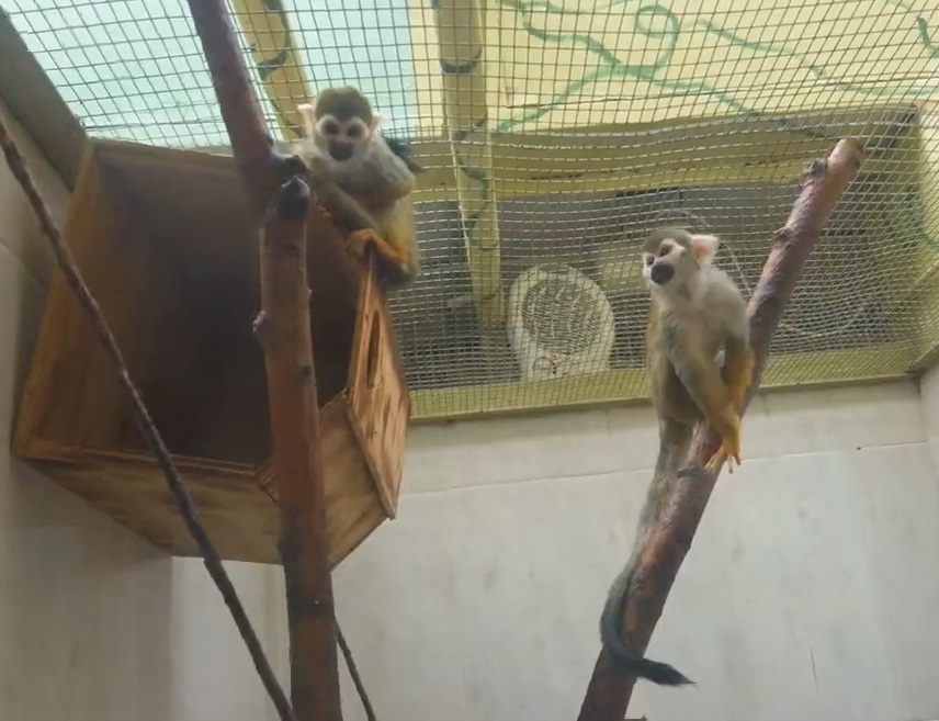 Зоопарк в Омске. 12 лет "на том же месте"!!!