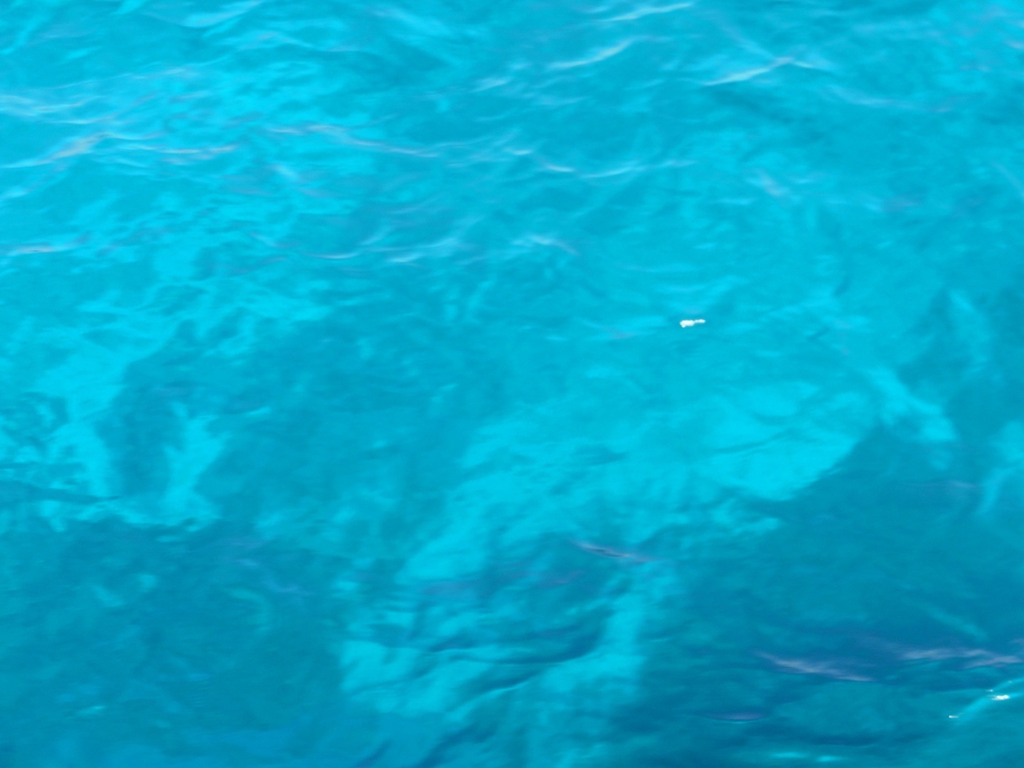 Как на меня напала рыба-хирург. Правильное лечение - личный опыт.