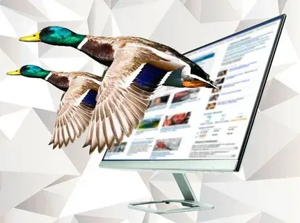 В германских газетах XVIII в. часто ставили знак NT, означающий по-латыни «не проверено». Какой термин родился с тех пор?