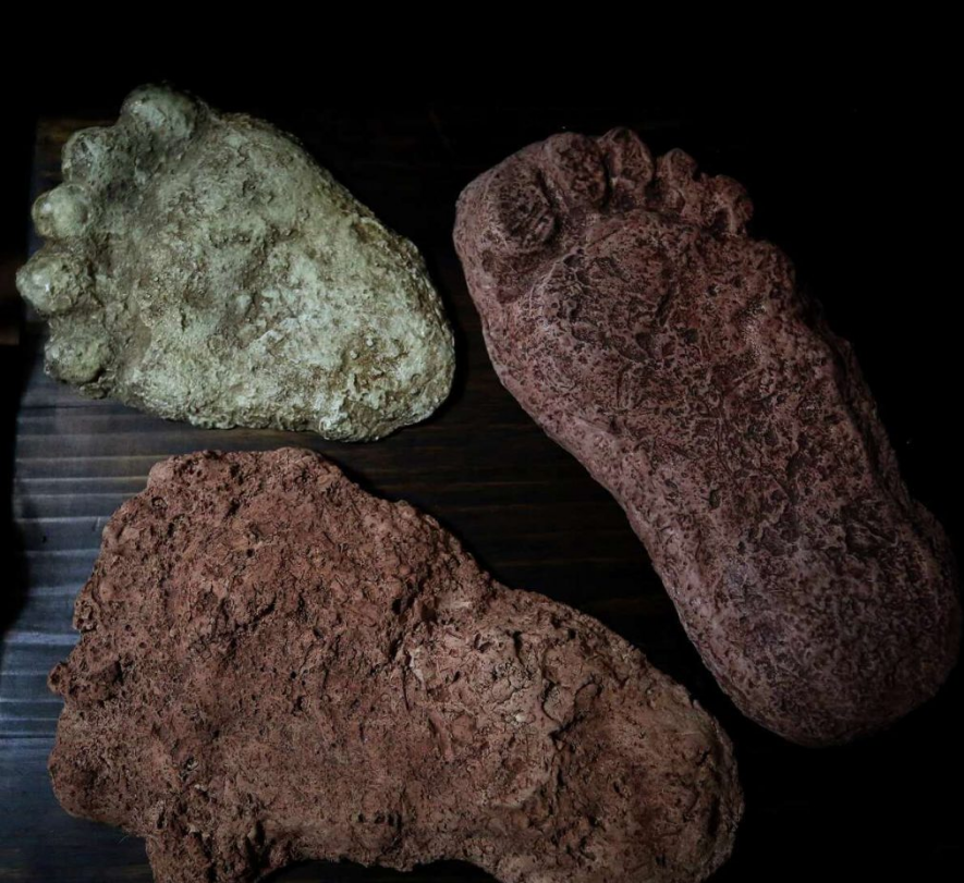 Снежный человек - реальность или подделка