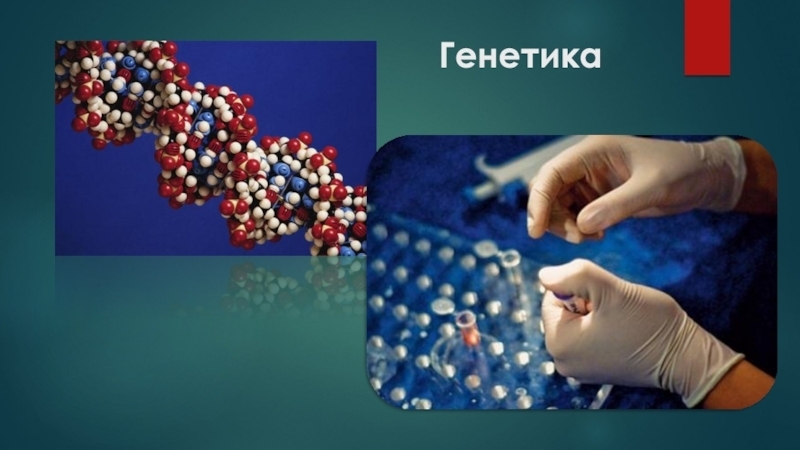 Лысенкоизм