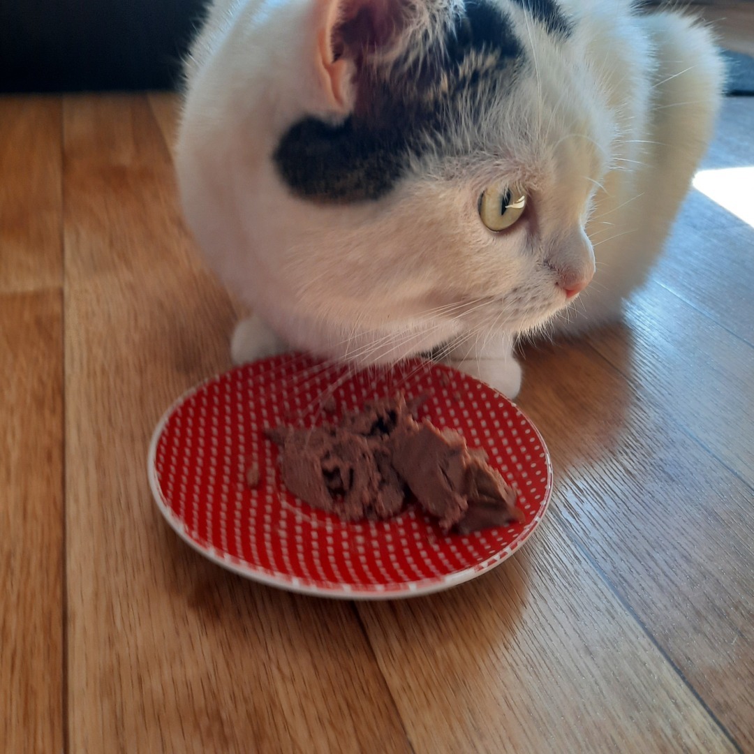 Обзор кормов Jarvi. Моя посылка.