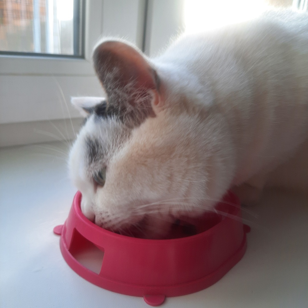 Обзор кормов Jarvi. Моя посылка.