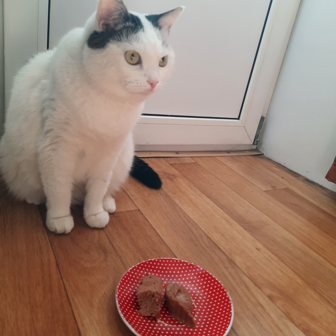 Обзор кормов Jarvi. Моя посылка.