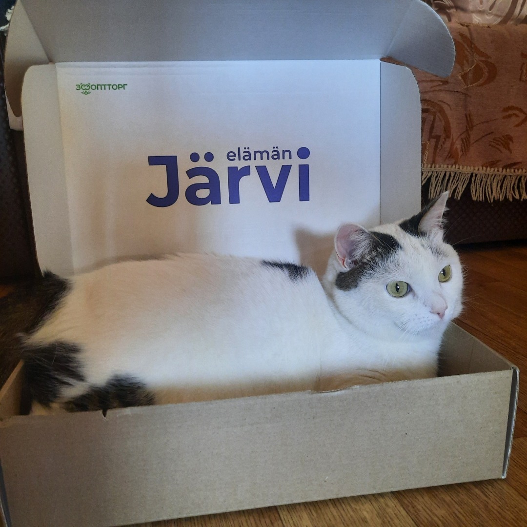 Обзор кормов Jarvi. Моя посылка.