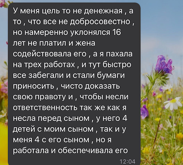 У отца был долг по алиментам 2,5 млн рублей, но потом долг вдруг исчез! Мать ребенка удивилась, юрист тоже