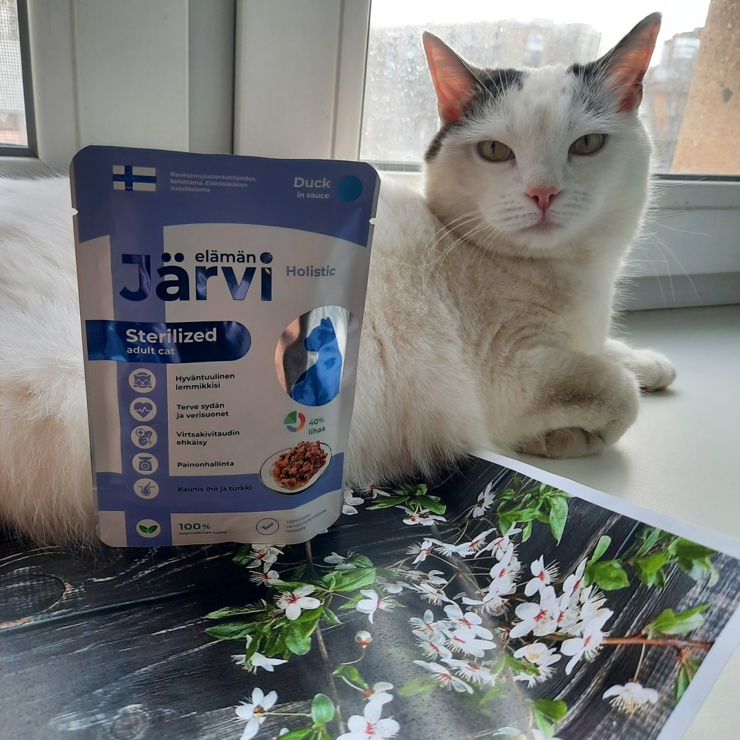 Обзор кормов Jarvi. Моя посылка.