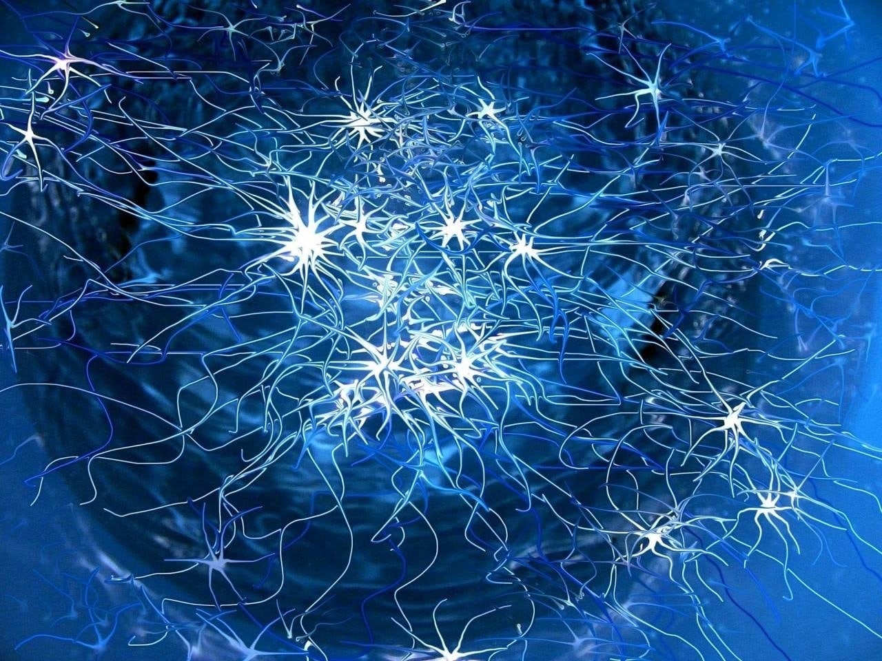 Произведения, созданные нейросетями, защитят авторским правом