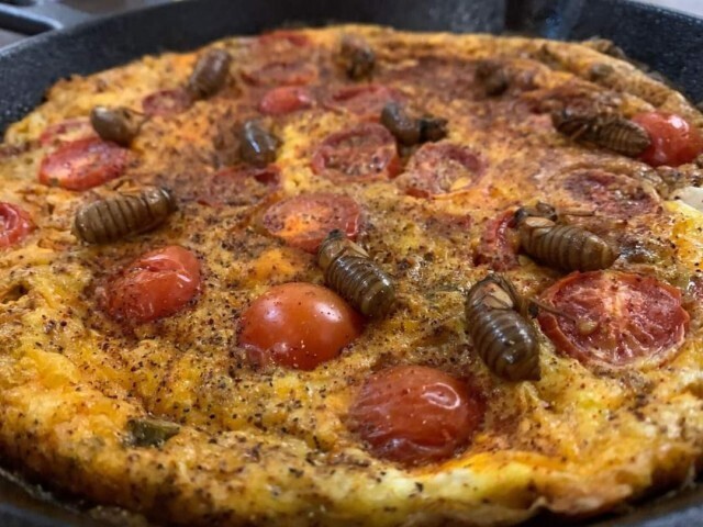 Еда от глобалистов: пицца с тараканами и чипсы с муравьями