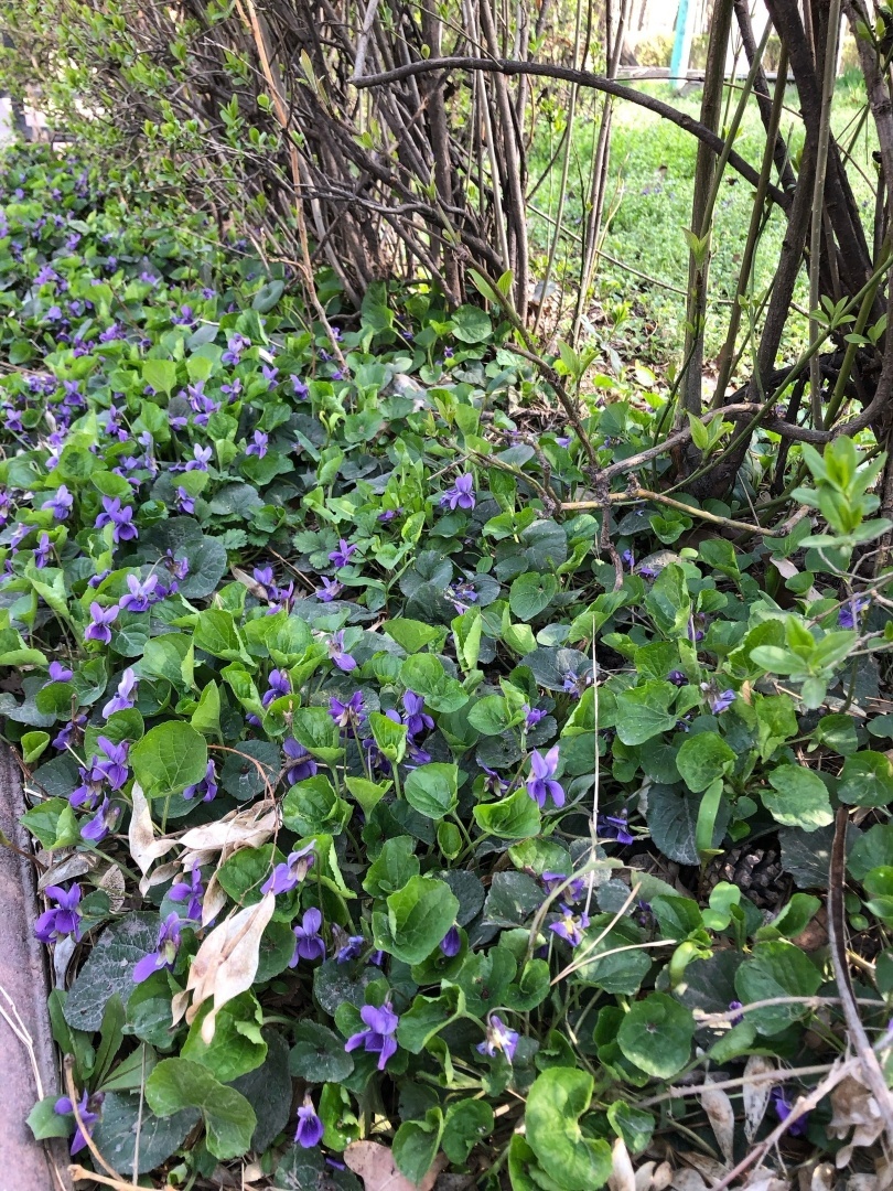 Страна, чтящая и уважающая своё прошлое, это Кыргызстан