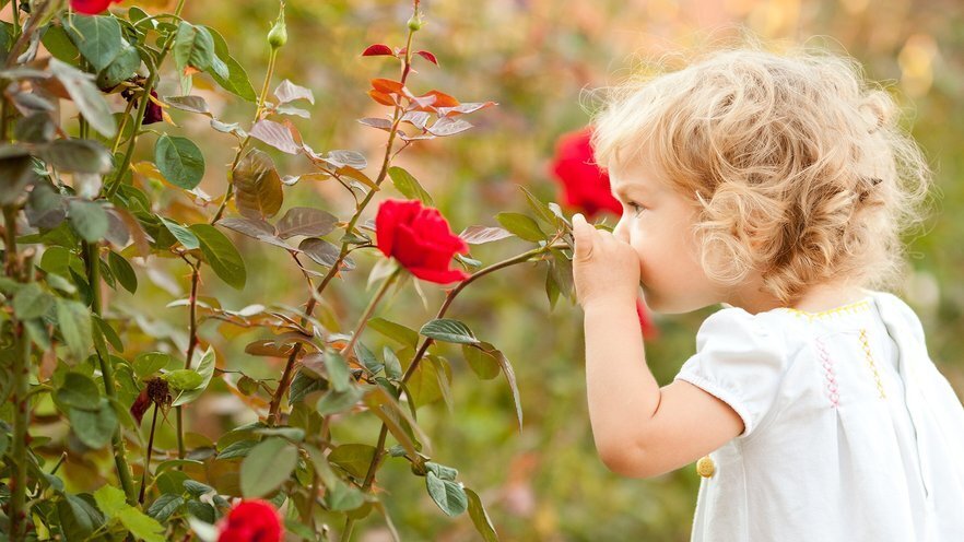 Интересно, а почему так хорошо запоминаются запахи детства.