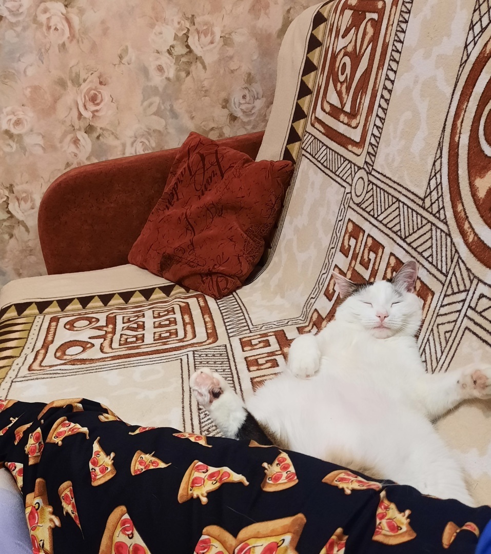 Я - автор. Или моя статья-знакомство.