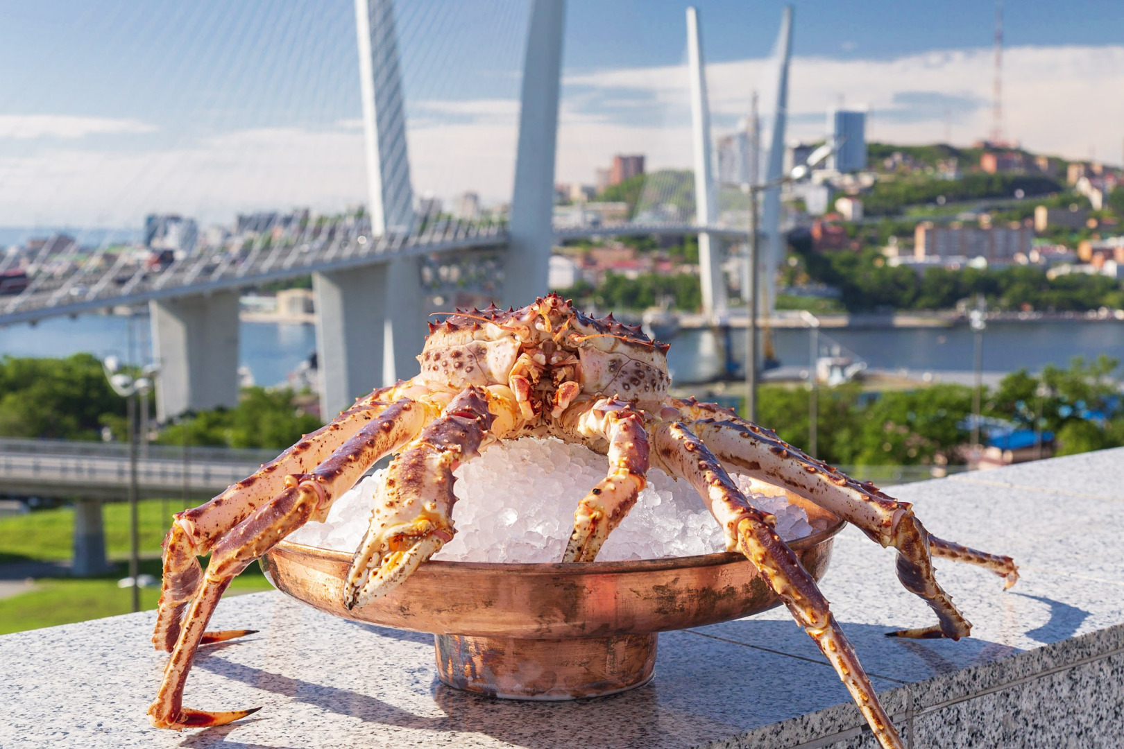 Государство передало в собственность компании «Крабовые короли» восемь дальневосточных рыбопромышленных организаций