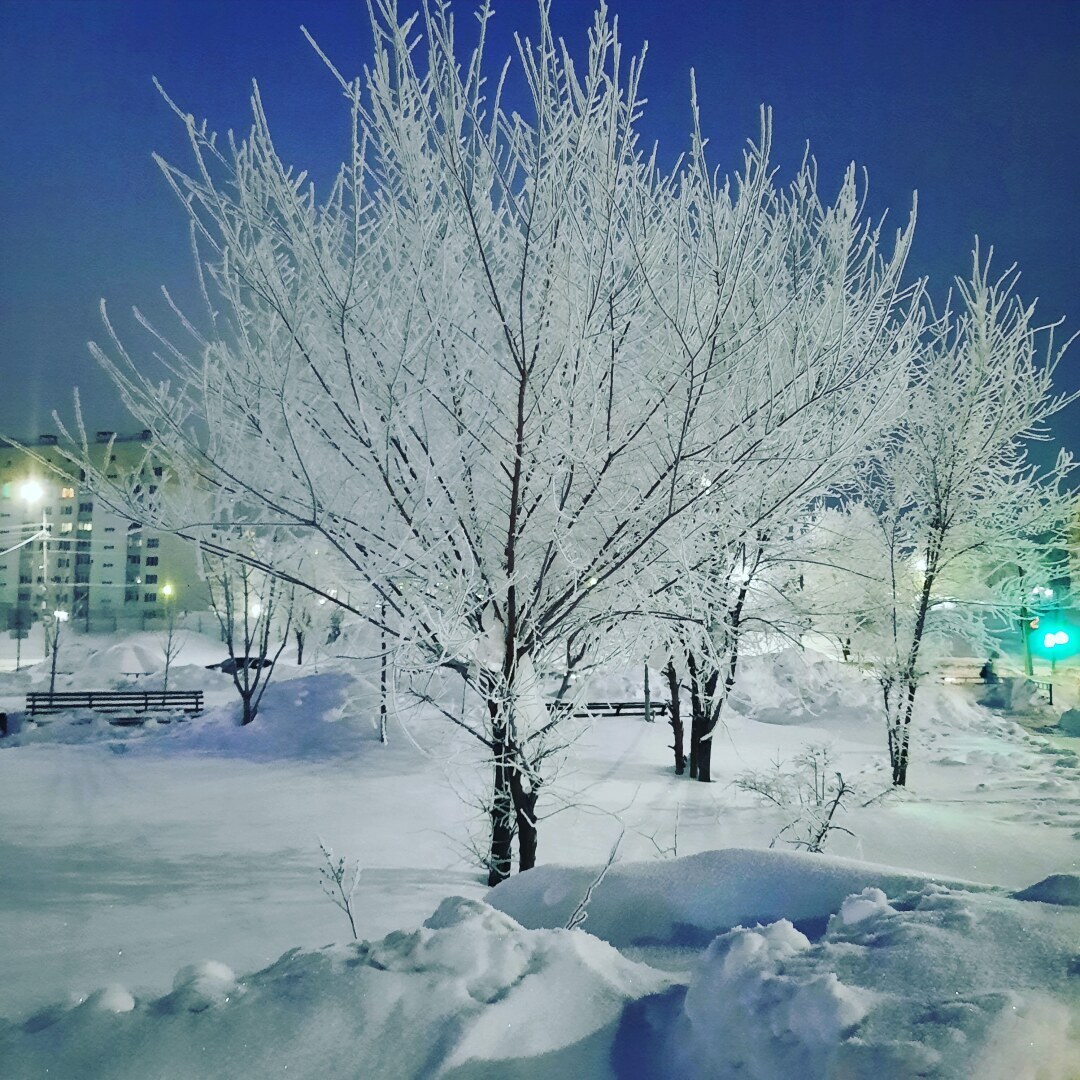 Я - автор. Или моя статья-знакомство.