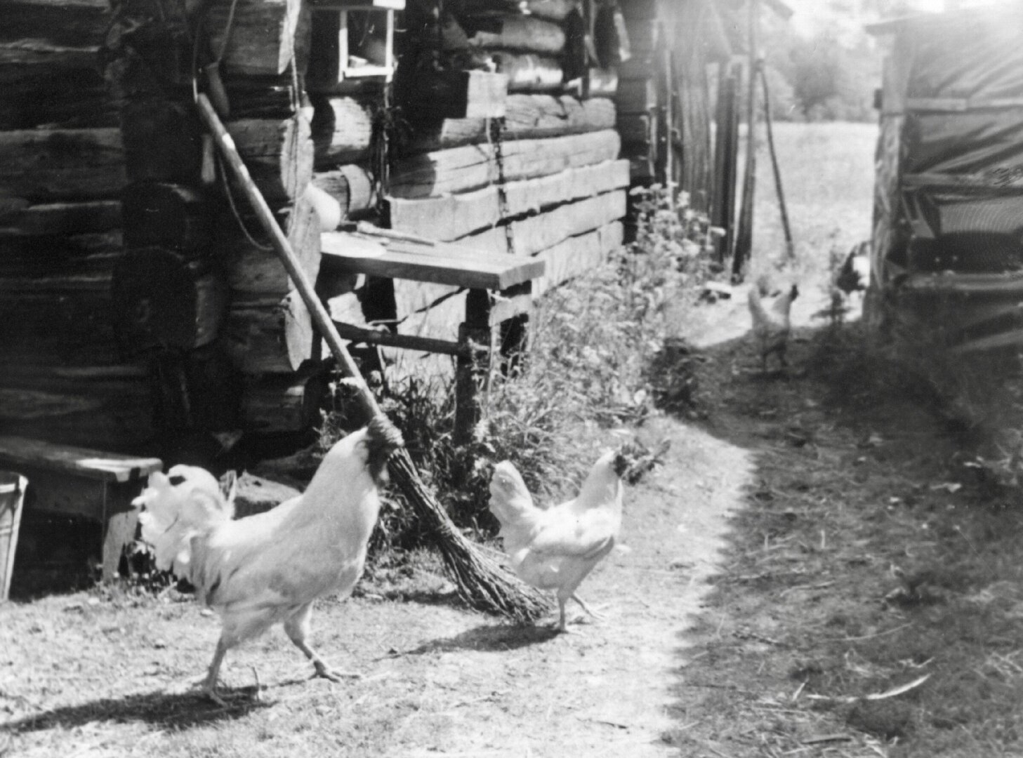 Что было в нашем детстве и чего нет у сегодняшних детей