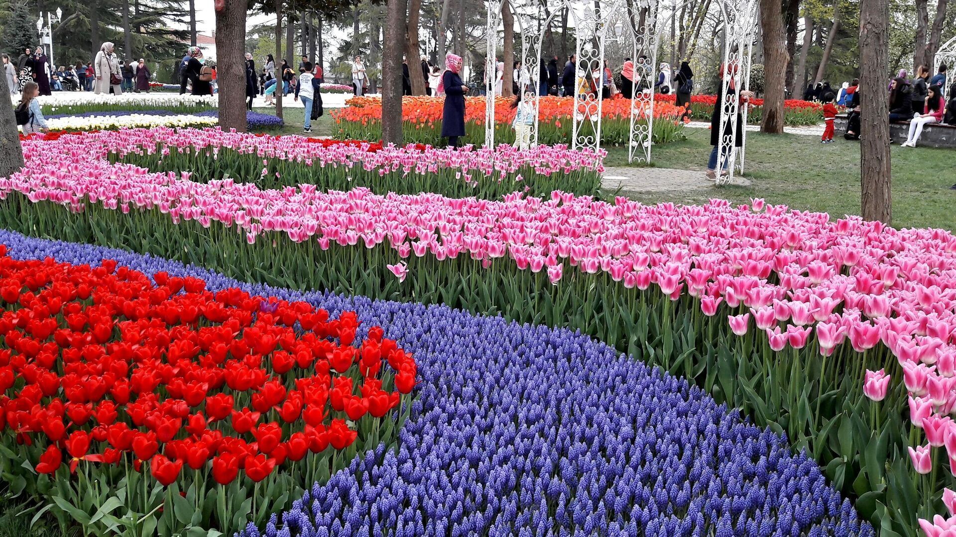 Стамбульский праздник тюльпанов (Lale festivali)