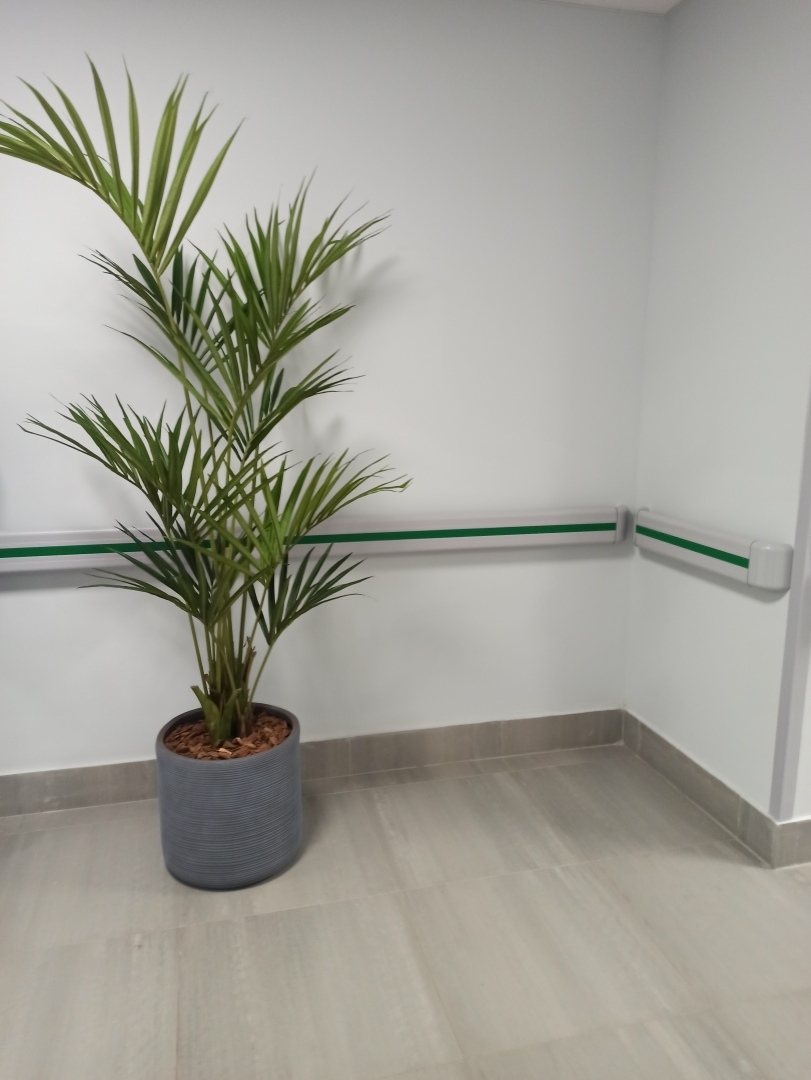 Новая поликлиника в нашем городе. 40 минут прождали в очереди. Так ли все хорошо?