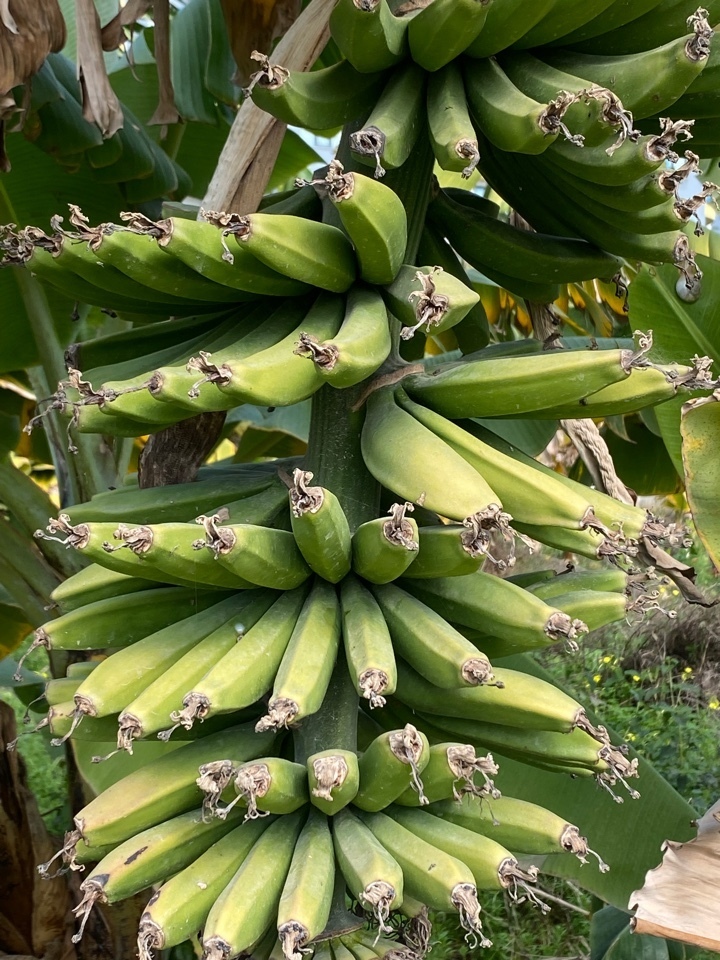 Отдых в Турции в межсезонье. Плюсов много, но в море не накупаетесь