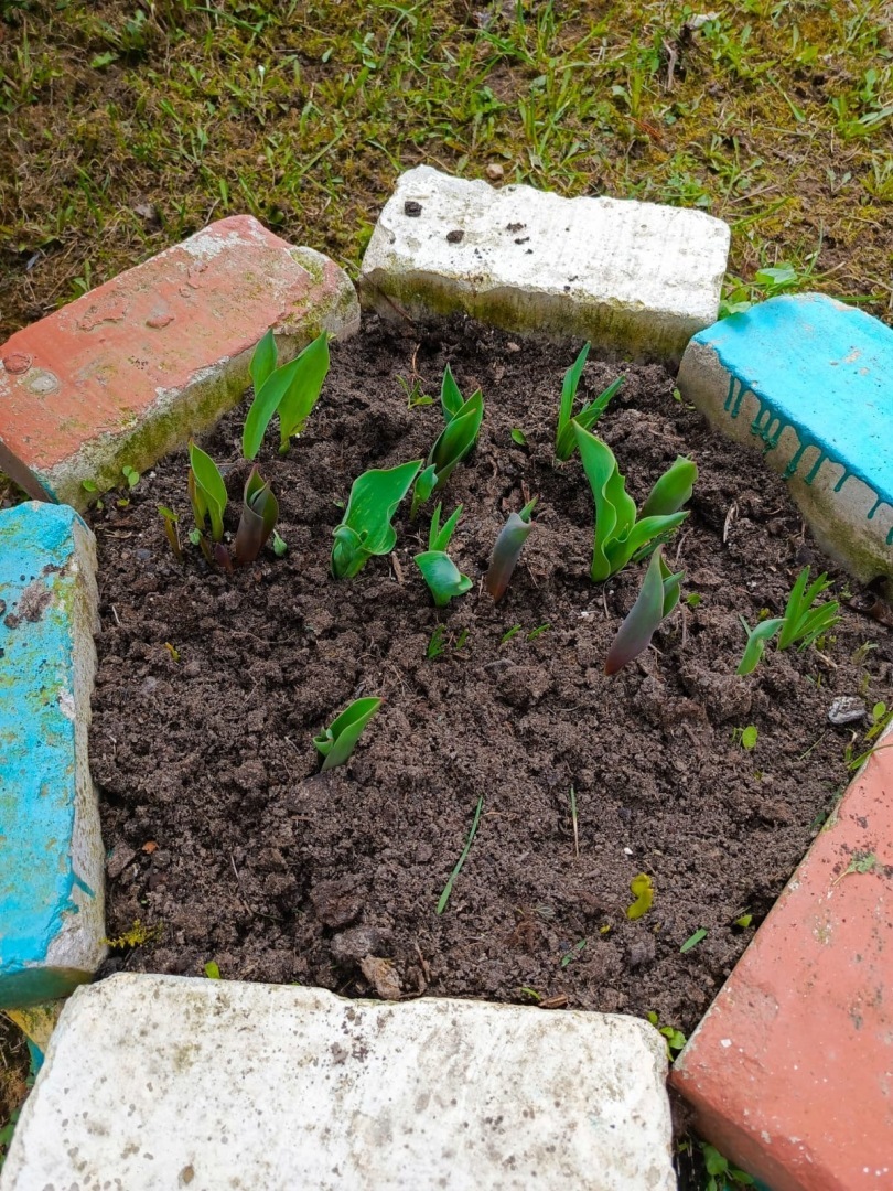 Есть в России памятные места: Православный источник Илии Пророка в Тверской области. Фото, экскурсия моих родных