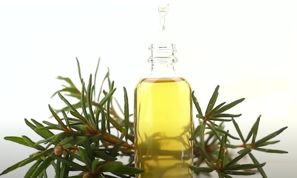 Что можно лечить камфорным спиртом?