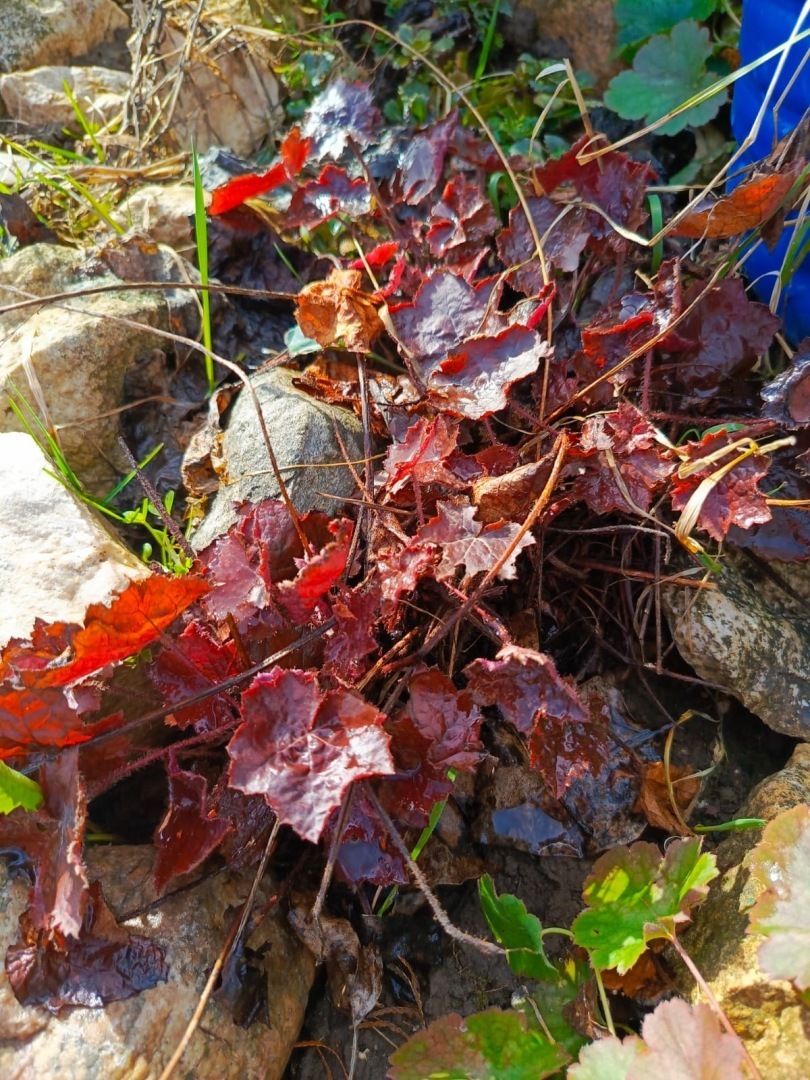 Есть в России памятные места: Православный источник Илии Пророка в Тверской области. Фото, экскурсия моих родных