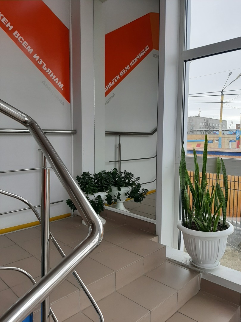 Как я посетила тренажерный зал ФОК «Звездочка»: спортивные выходные. Впечатления от тренировки