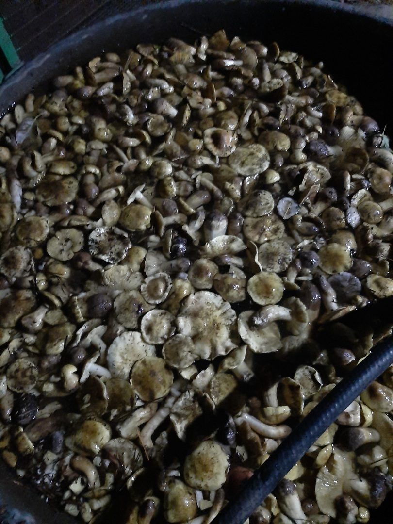 Один день отпуска, который я не забуду никогда.