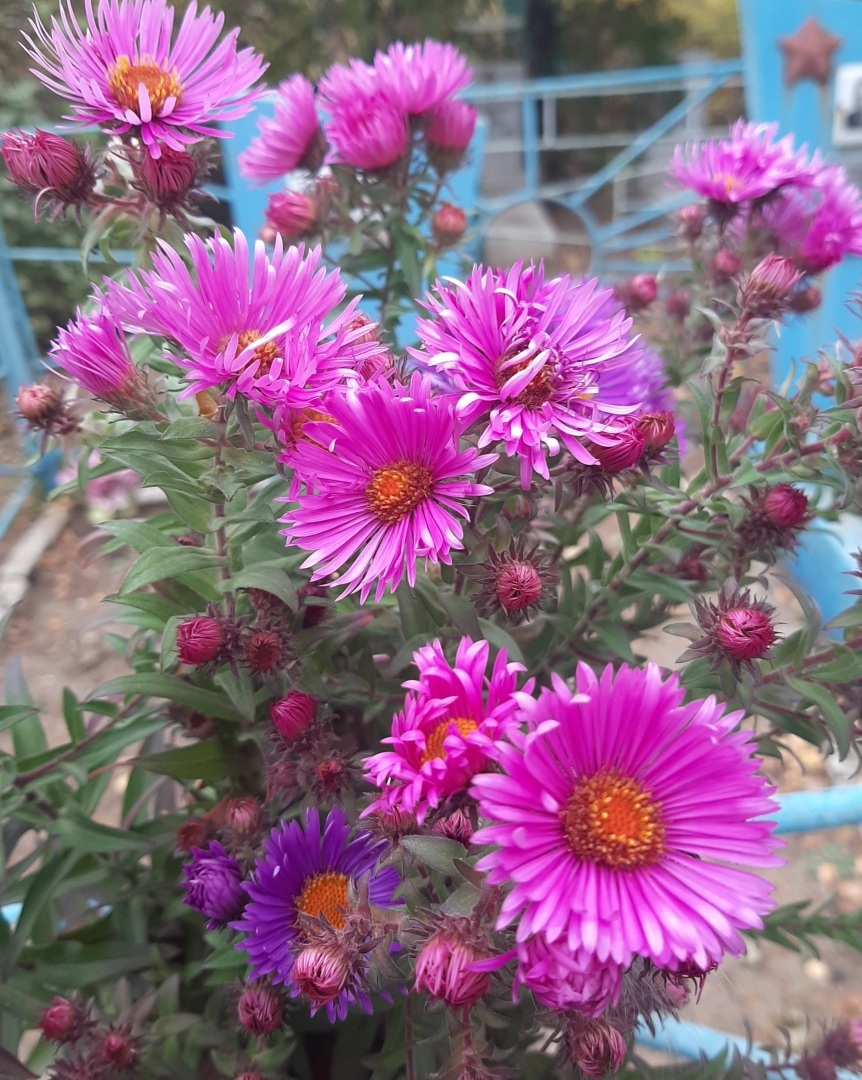 Один день отпуска, который я не забуду никогда.