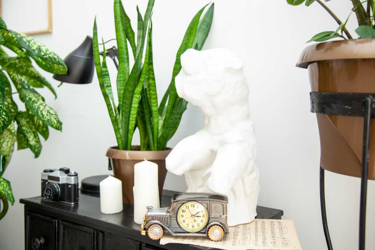 У знакомой сын встречается с учительницей, она не знает, что делать. У брата моей бабушки тоже был роман с учительницей - что из этого вышло?