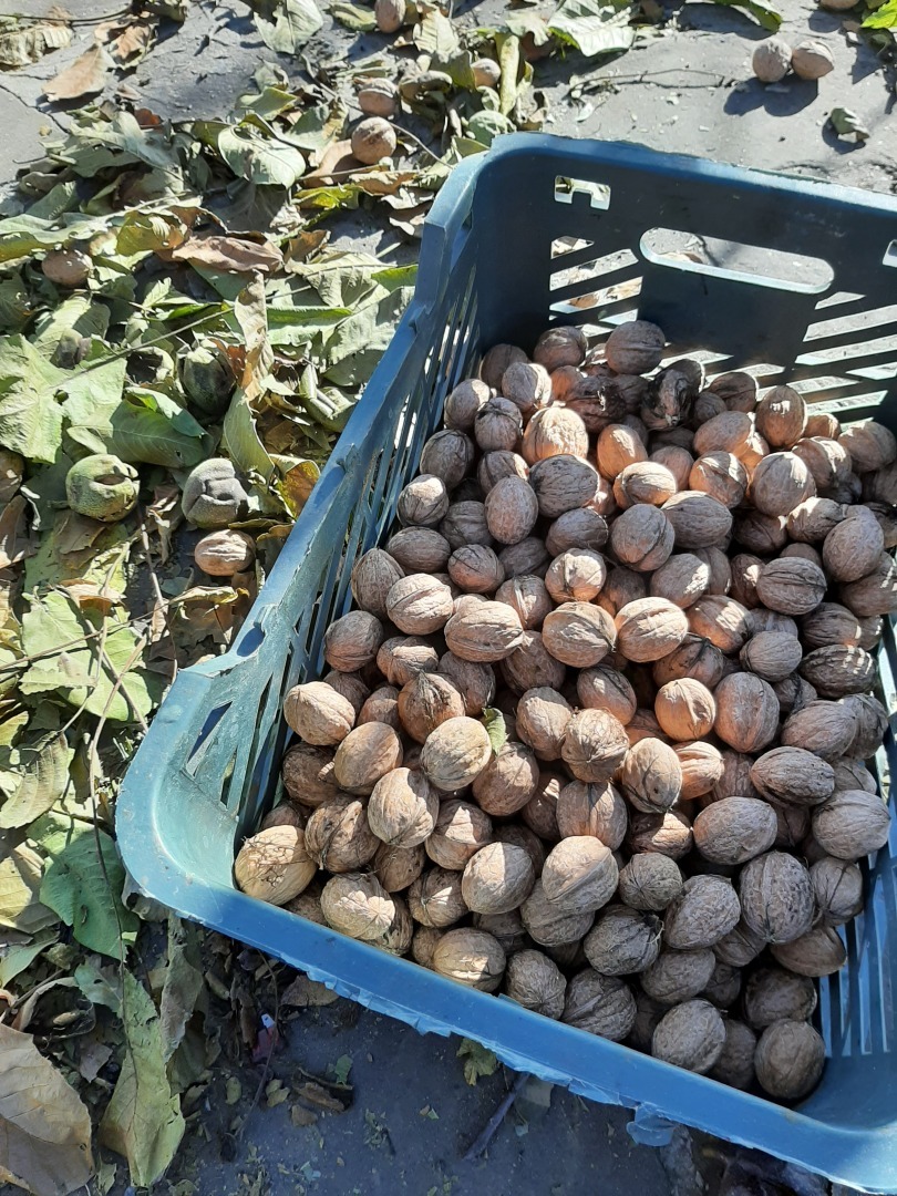 Один день отпуска, который я не забуду никогда.