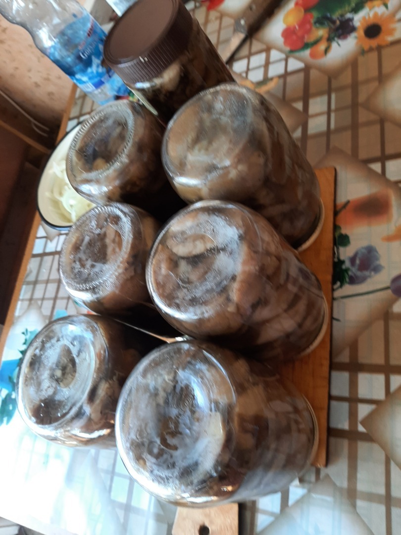 Один день отпуска, который я не забуду никогда.