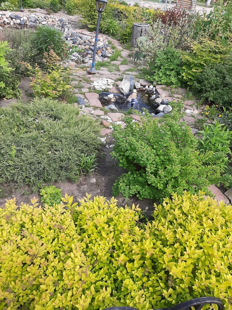 Как я посетила парк стадиона «Беломорец». Впечатления и красивые кадры