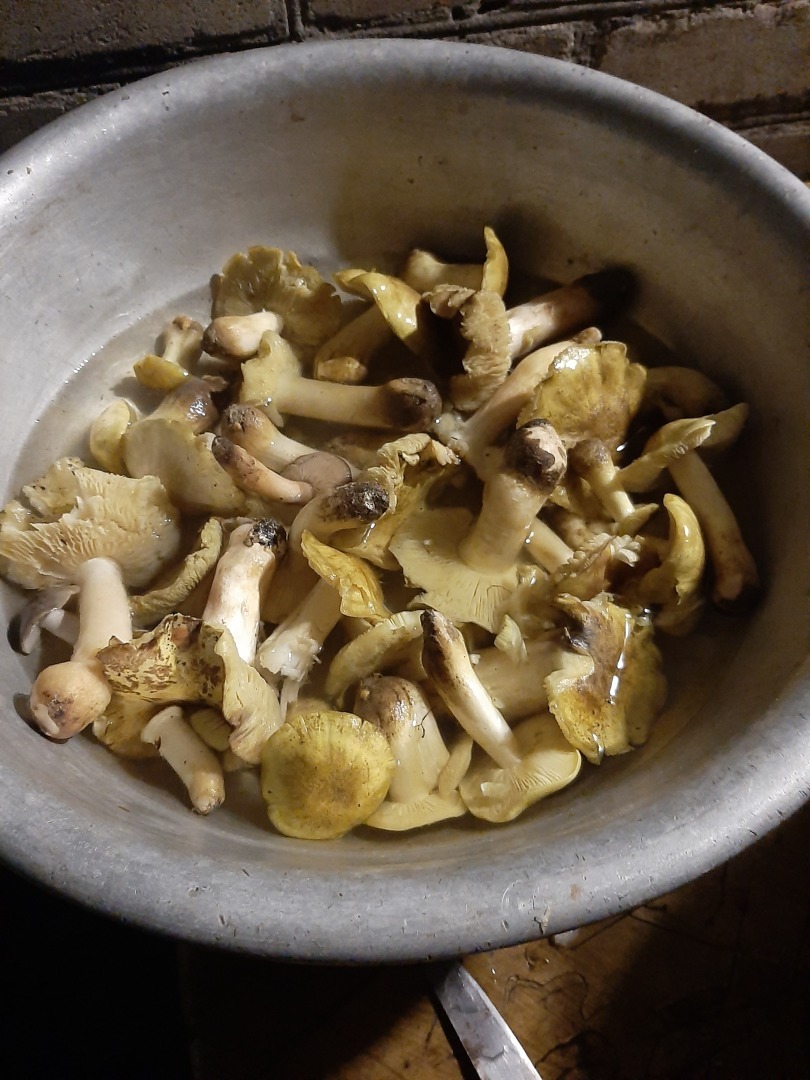 Один день отпуска, который я не забуду никогда.