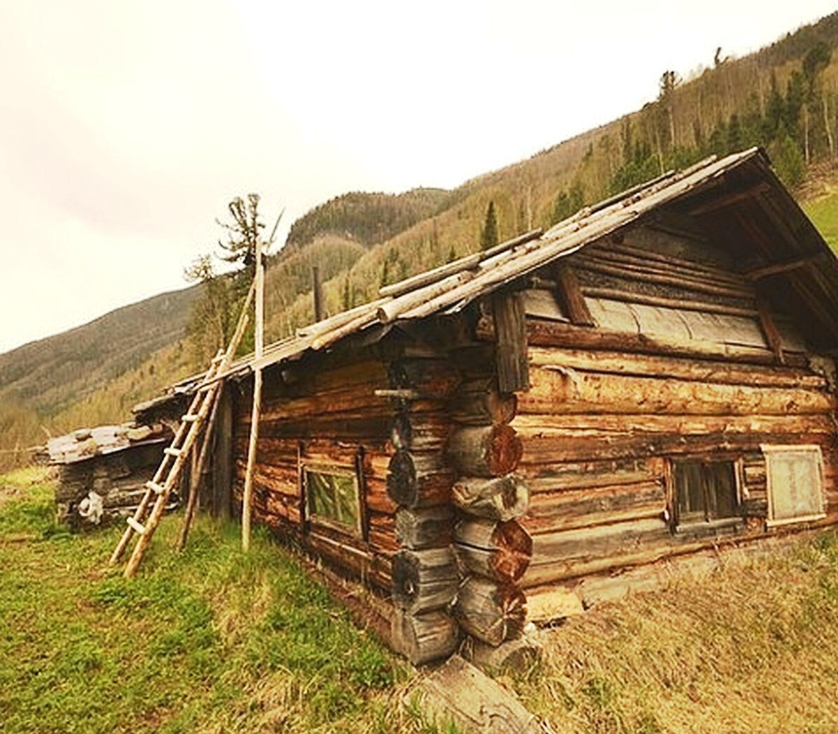 Не состоявшийся Юбилей Агафьи Лыковой - главной затворницы России. Репортаж из таежной заимки